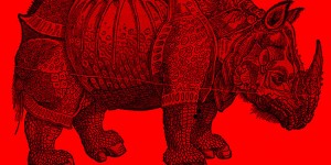 EXTERNE LINKS: Rhino V4/V5 (+VRay)