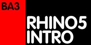 RHINO-EINSTIEG